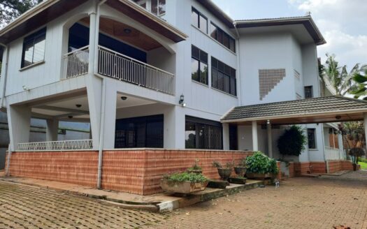 Kololo 6 BHK